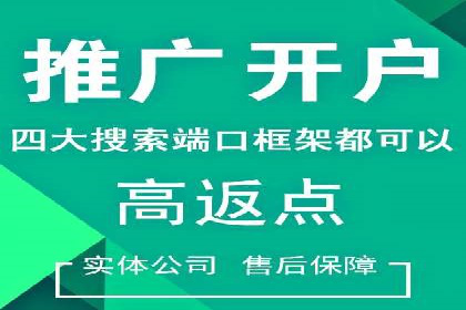 SEM代运营机构成功案例：优化策略与效果分析